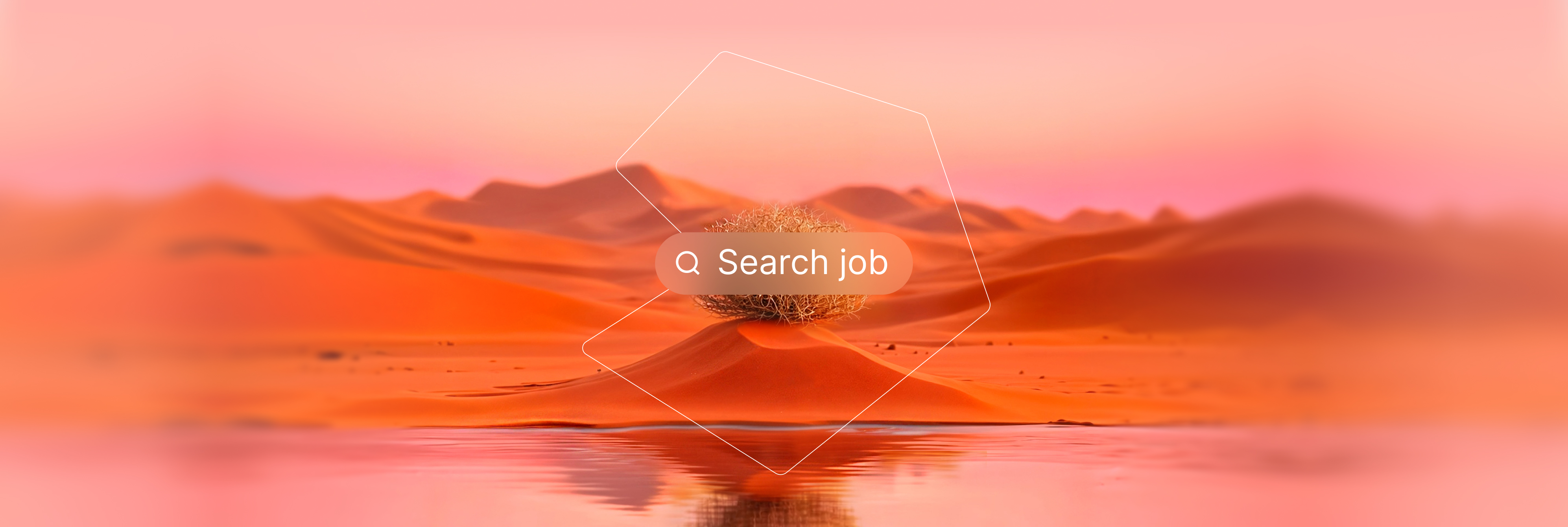 Почему на рынке так много безработных айтишников?