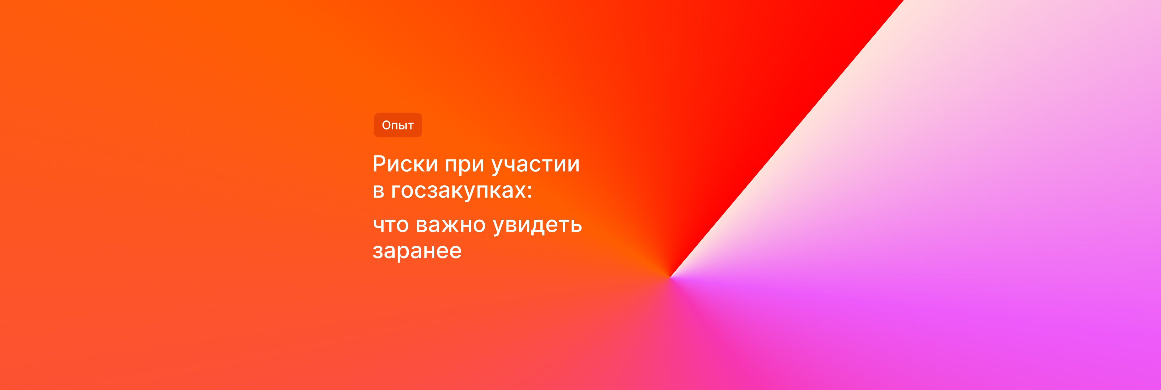 Риски при участии в госзакупках: что важно увидеть заранее